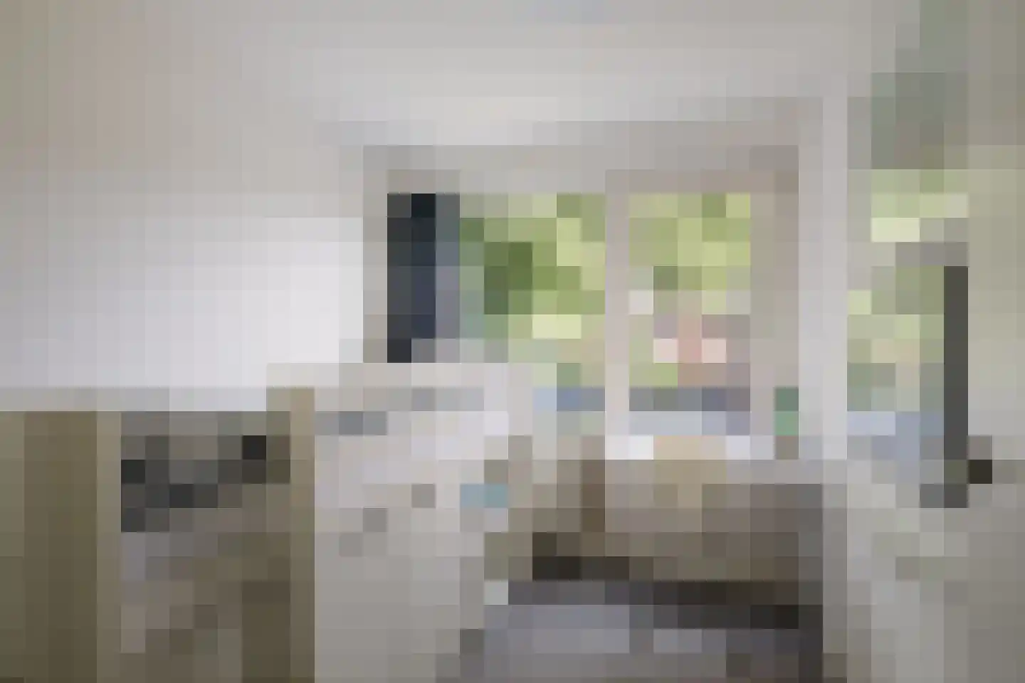 Burg. Jhr Dr A. Boreellaan 12 Bathmen thumbnail 16