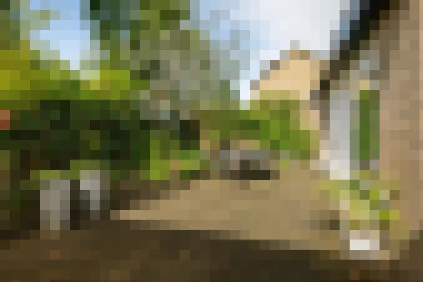 Burg. Jhr Dr A. Boreellaan 12 Bathmen thumbnail 28