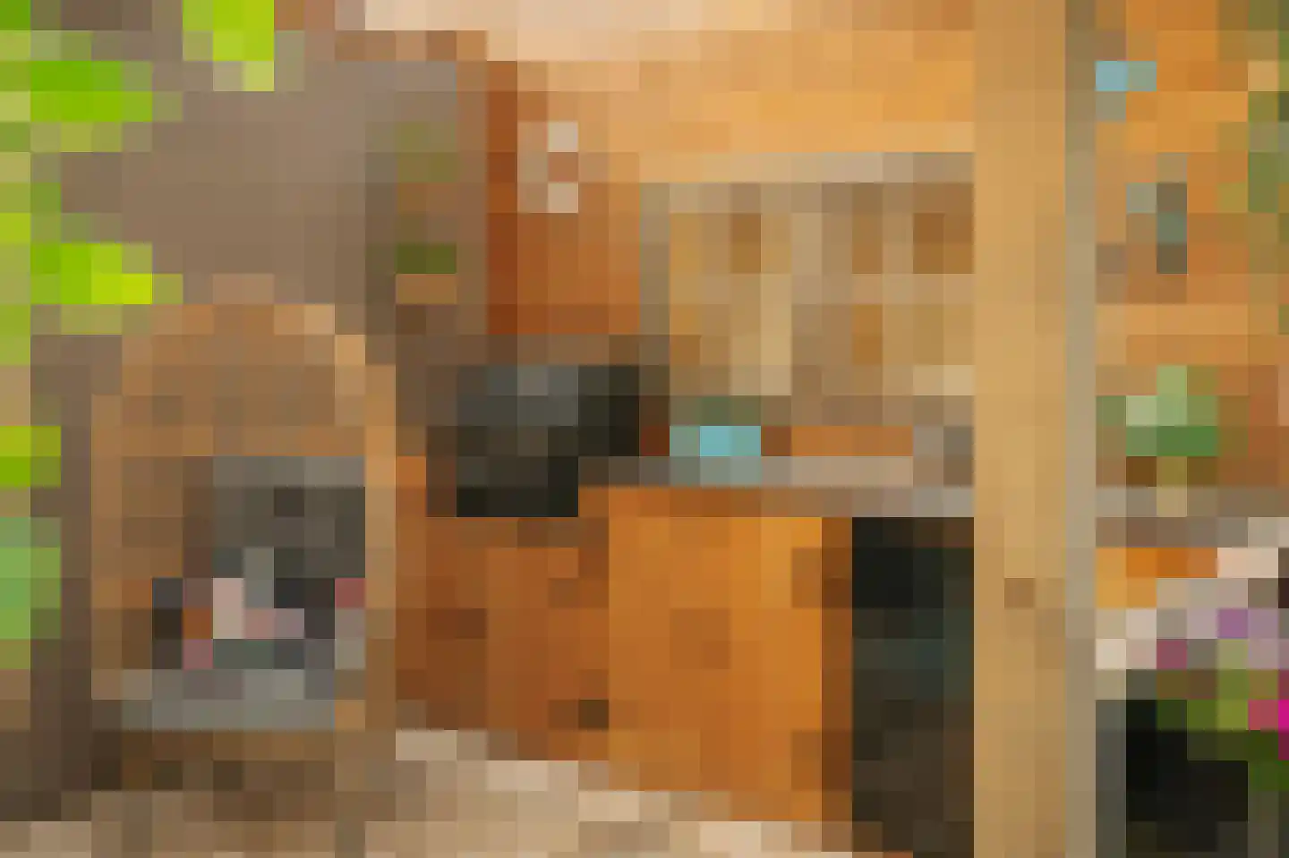 Burg. Jhr Dr A. Boreellaan 12 Bathmen thumbnail 30