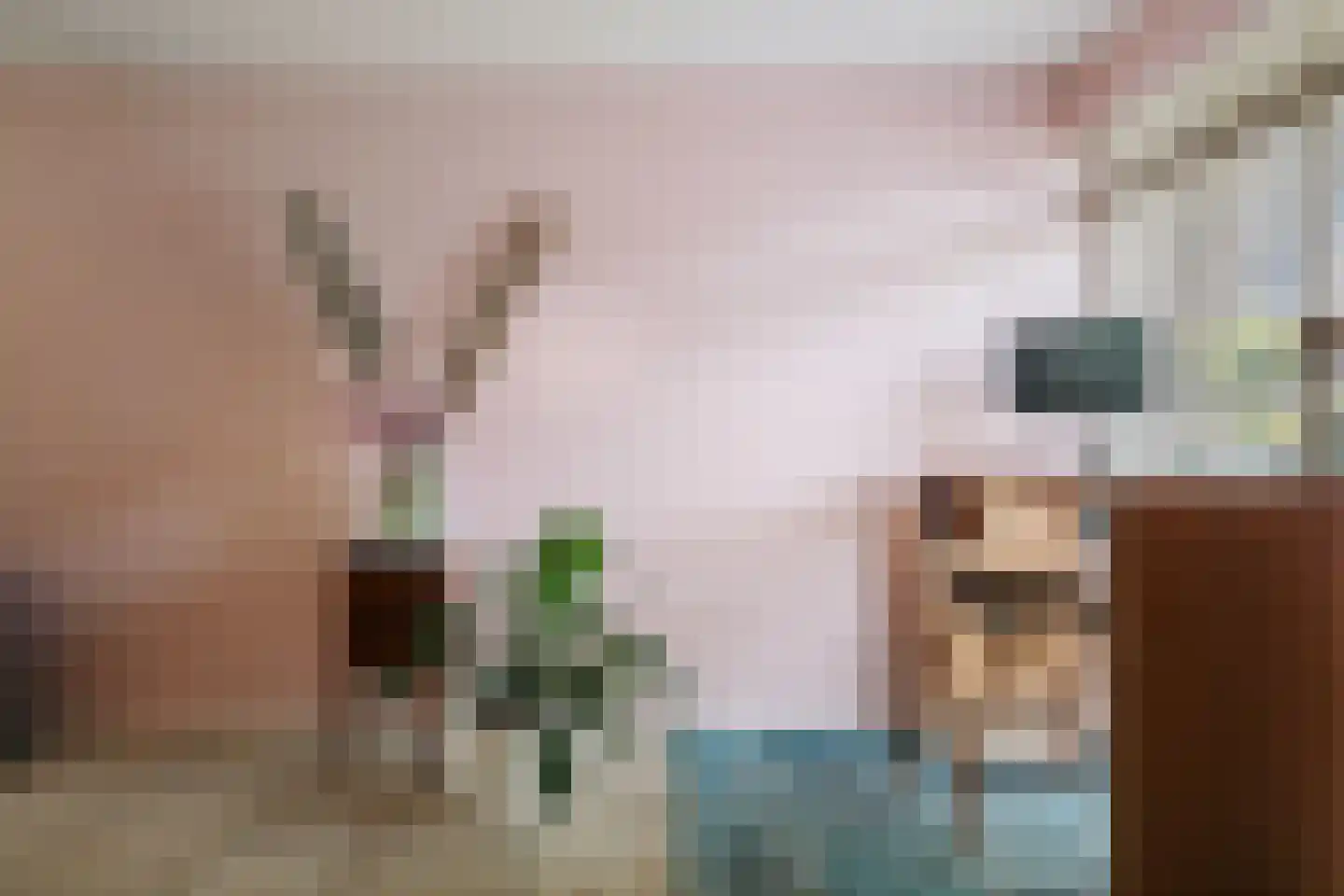 Burg. Jhr Dr A. Boreellaan 12 Bathmen thumbnail 4