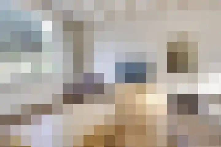 Burg Jhr Hoeufftlaan 2 Vianen thumbnail 14