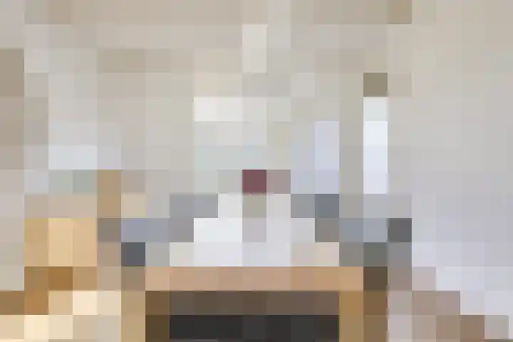 Burg Jhr Hoeufftlaan 2 Vianen thumbnail 16