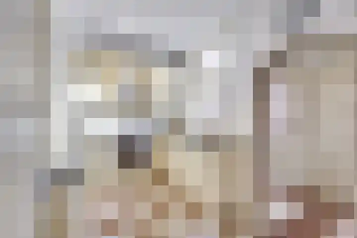 Burg Jhr Hoeufftlaan 2 Vianen thumbnail 20