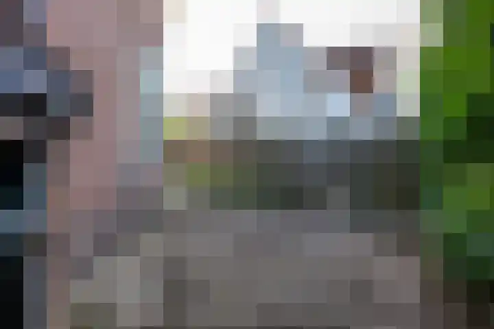 Burg Jhr Hoeufftlaan 2 Vianen thumbnail 32