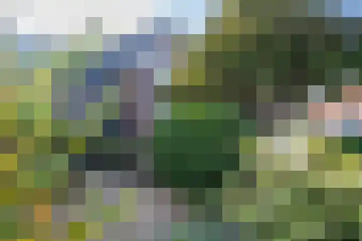 Burg Jhr Hoeufftlaan 2 Vianen thumbnail 57