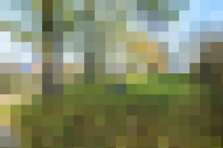 Burg Jhr Hoeufftlaan 2 Vianen thumbnail 63