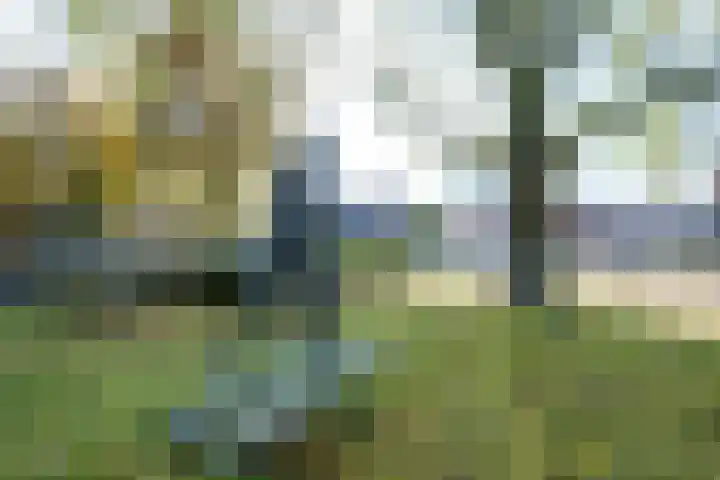 Burg Jhr Hoeufftlaan 2 Vianen thumbnail 64