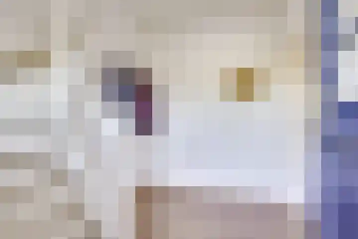 Burg Jhr Hoeufftlaan 2 Vianen thumbnail 8