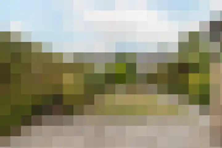 Burg. Kampsstraat 17 Sittard thumbnail 6