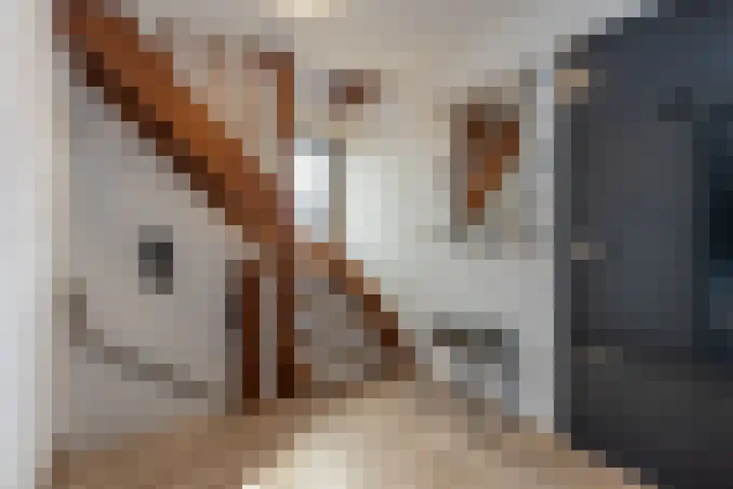 Burg. Kerckhoffsstraat 19 Hulsberg thumbnail 26