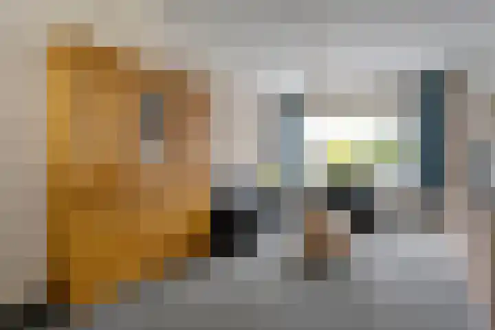 Burg Kerssemakersstraat 19 Raalte thumbnail 13