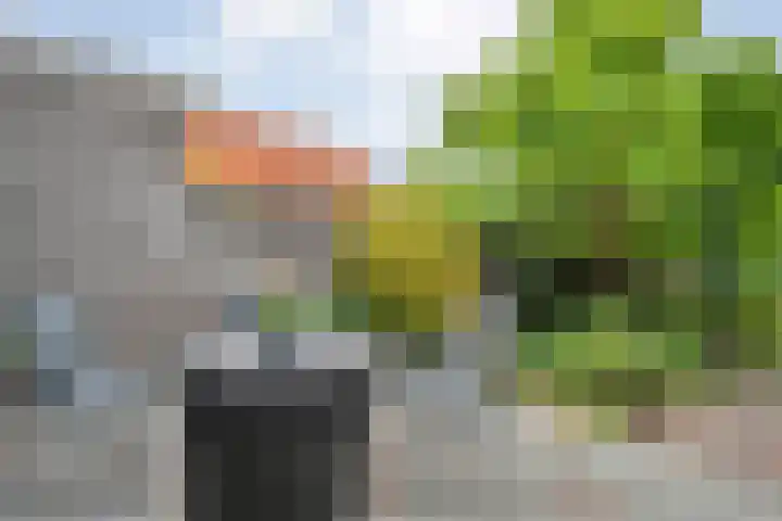 Burg Kerssemakersstraat 19 Raalte thumbnail 26