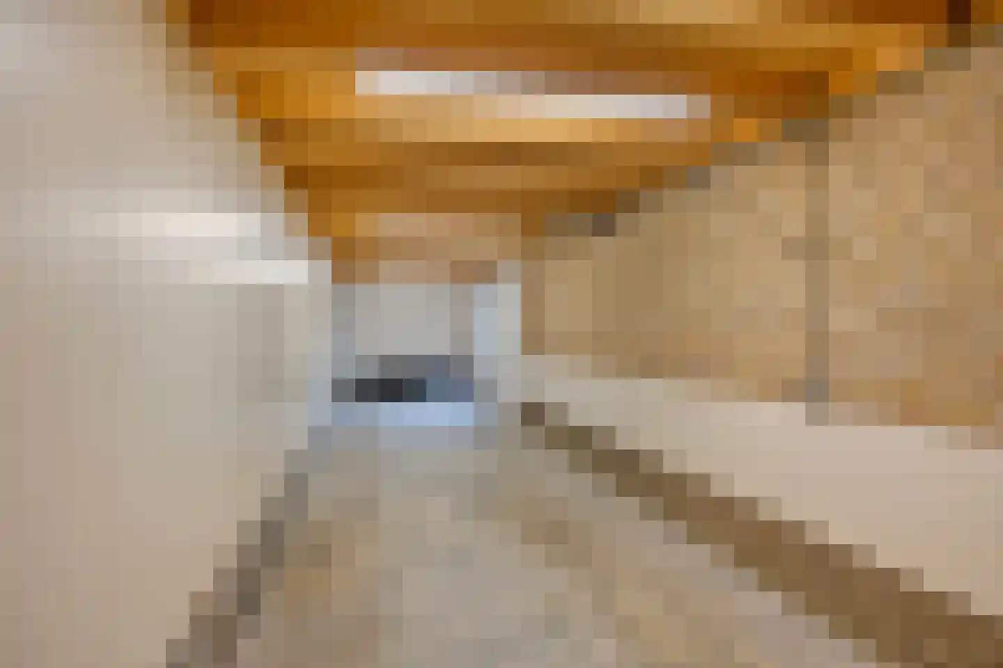 Burg. Korstanjestraat 13 Klaaswaal thumbnail 31