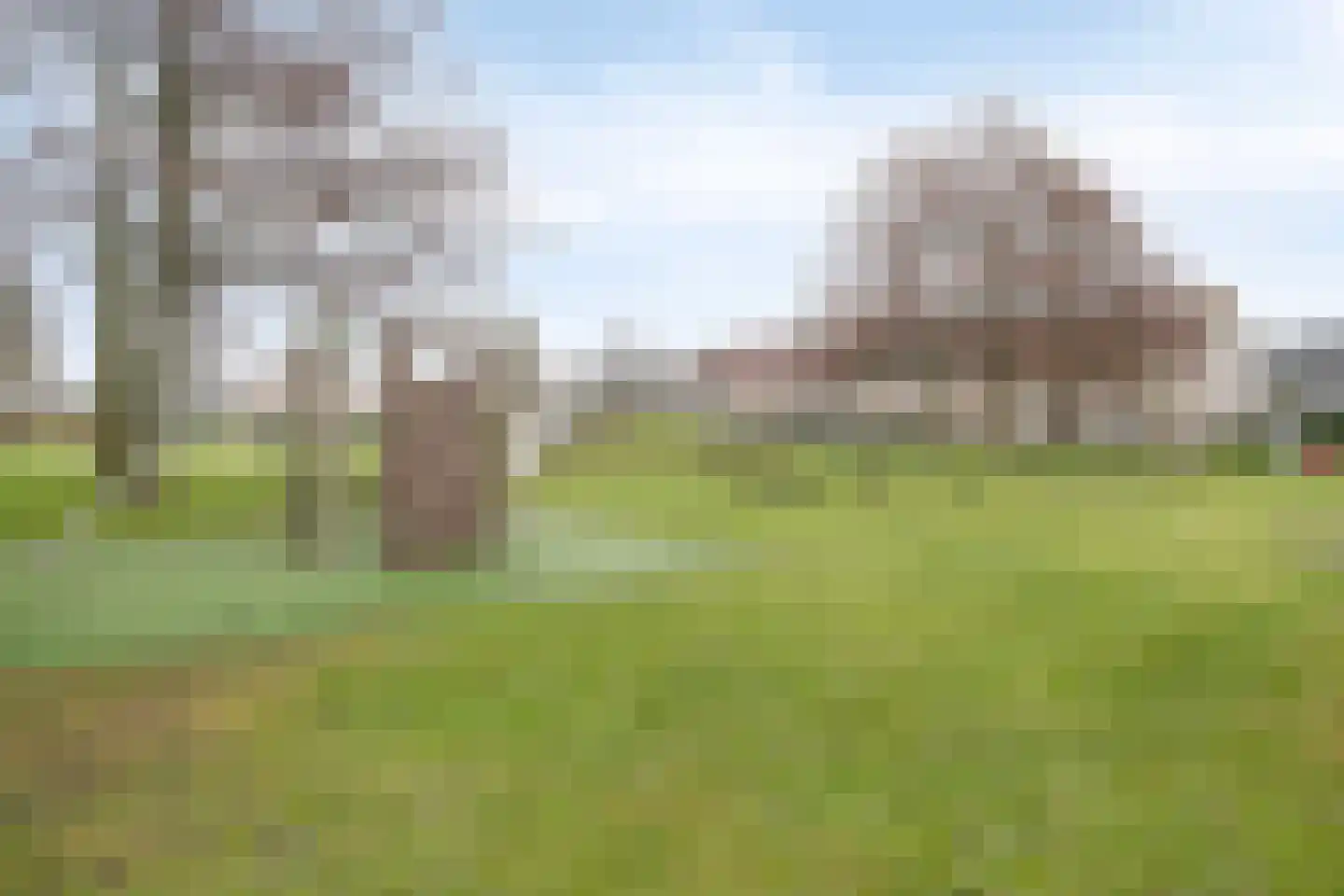 Burg. Korstanjestraat 13 Klaaswaal thumbnail 37