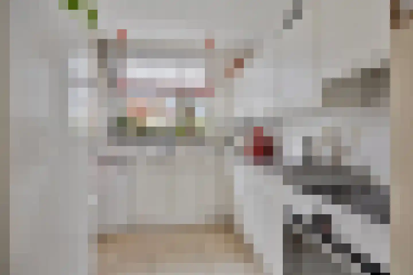 Burg. Korstanjestraat 13 Klaaswaal thumbnail 7