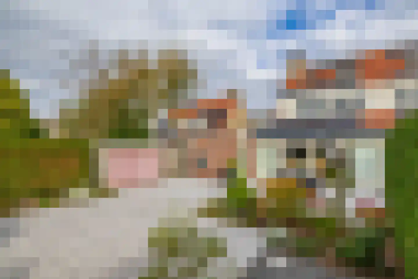 Burg. Korstanjestraat 49 Klaaswaal thumbnail 34