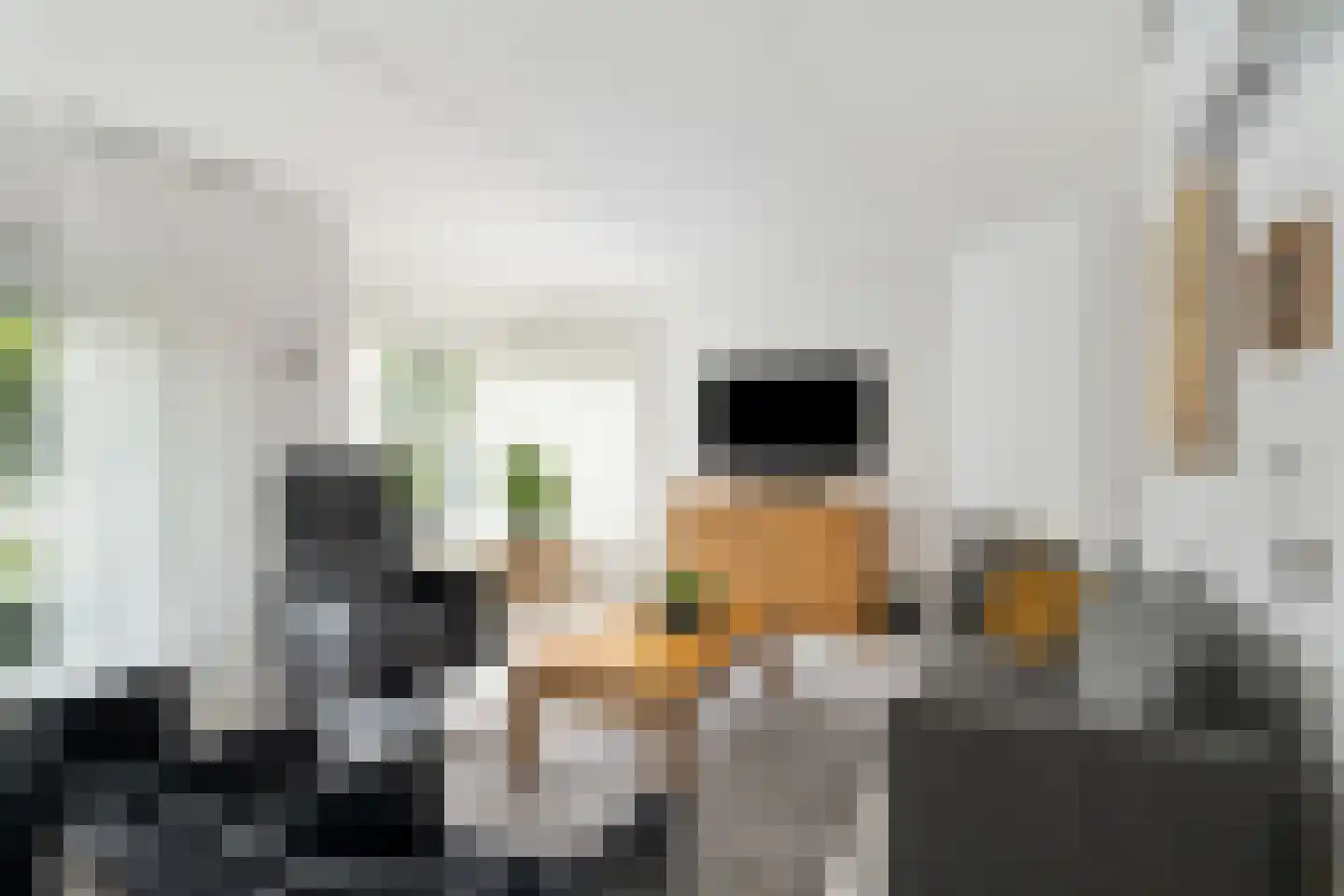 Burg. Korstanjestraat 71 Klaaswaal thumbnail 7