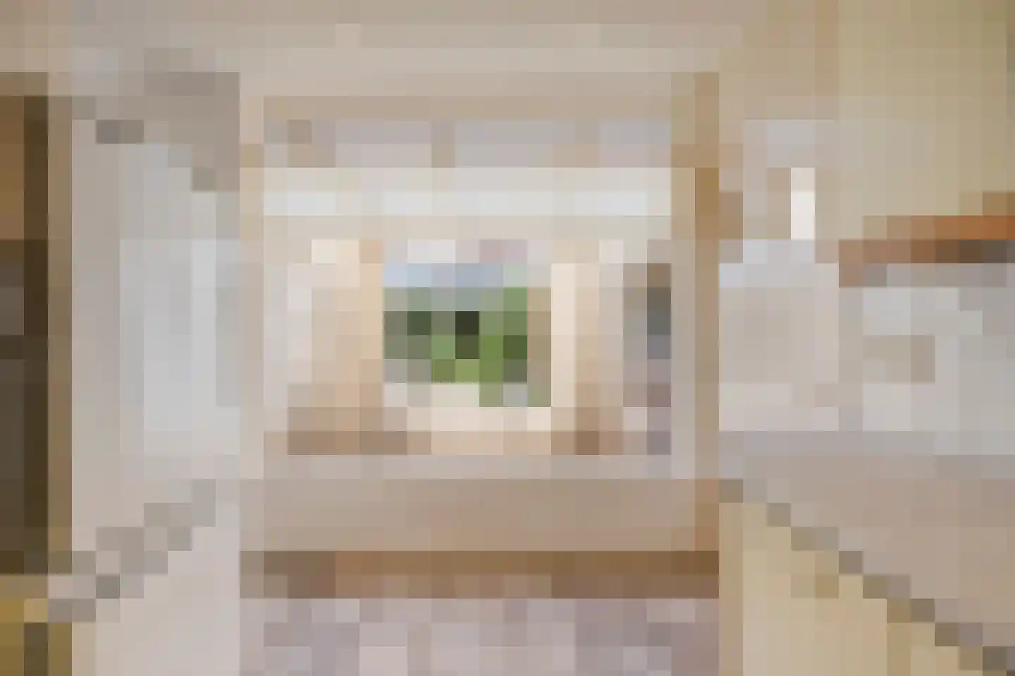 Burg L C Kolffsingel 20 Hippolytushoef thumbnail 13