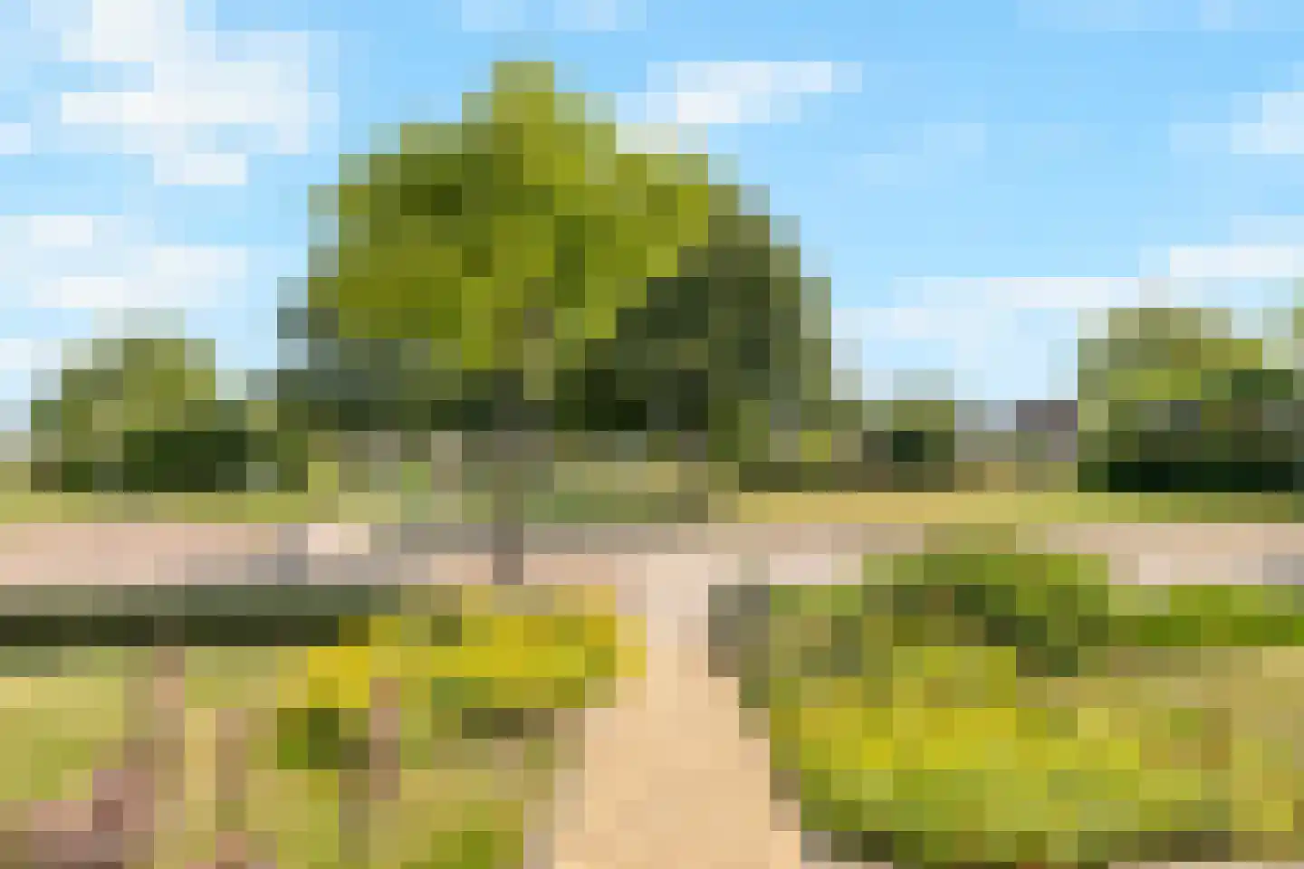 Burg L C Kolffsingel 20 Hippolytushoef thumbnail 27