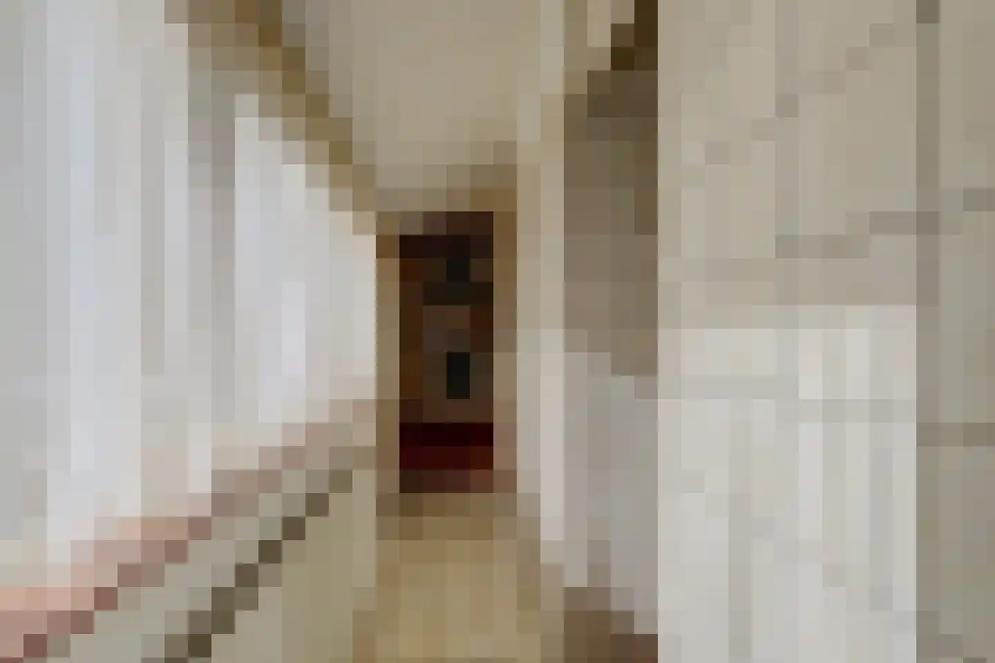 Burg. Langebeekestraat 12 Arnemuiden thumbnail 17