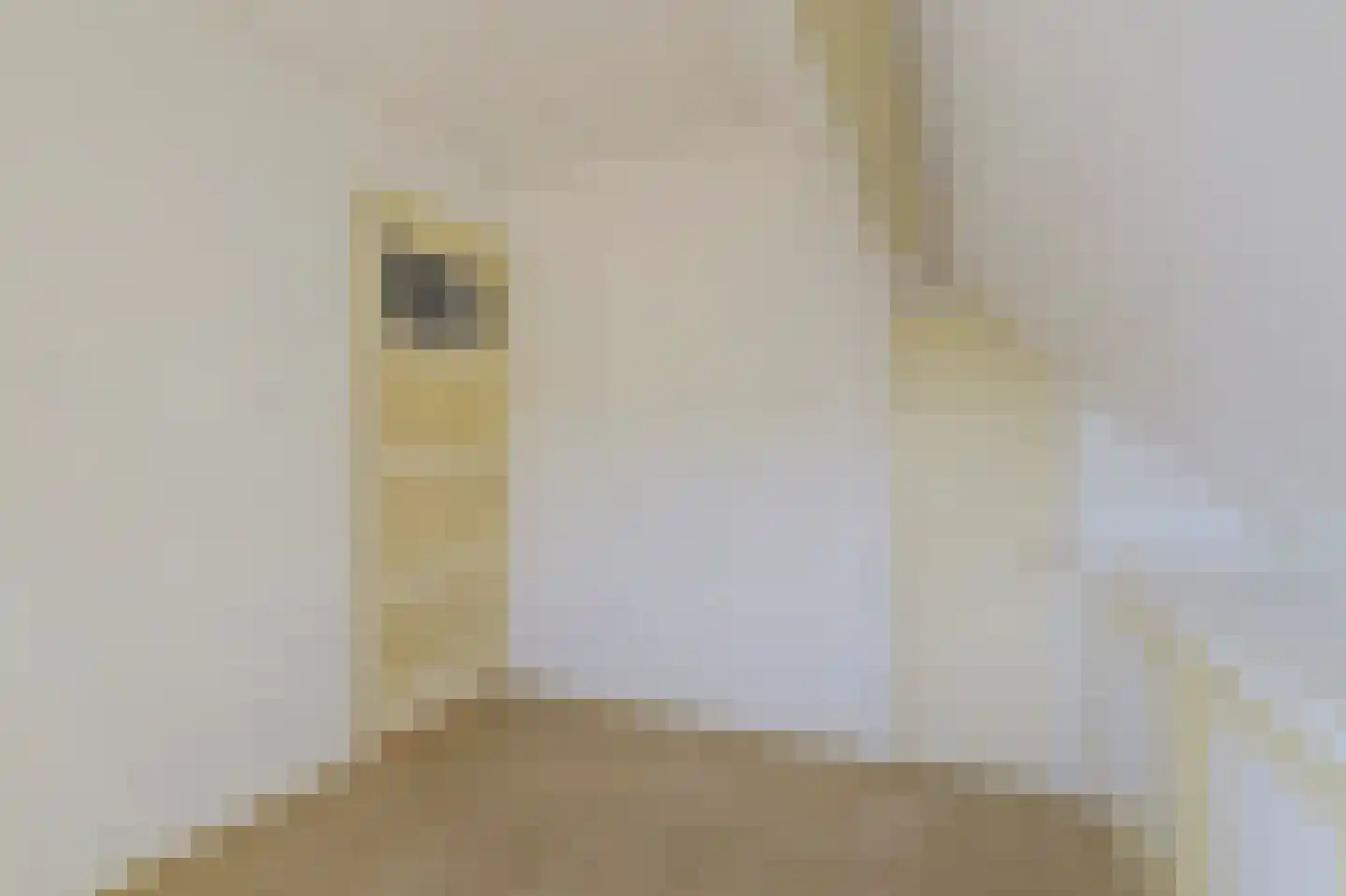 Burg. Langebeekestraat 12 Arnemuiden thumbnail 27