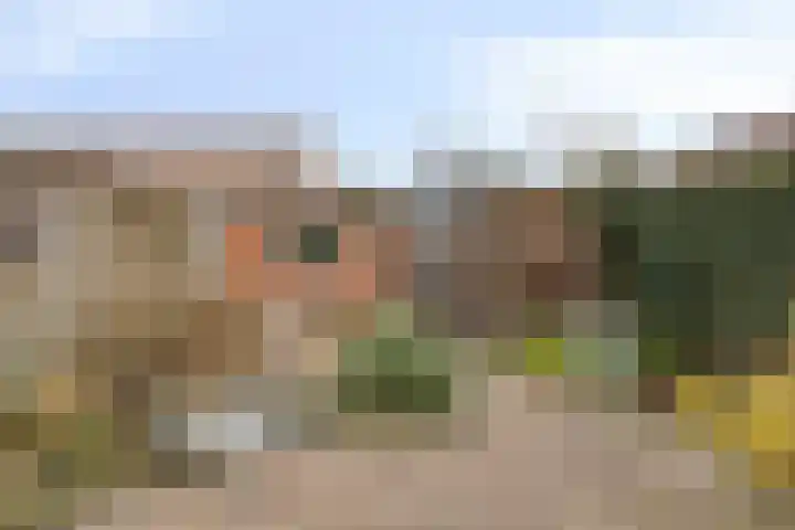 Burg. Langebeekestraat 18 Arnemuiden thumbnail 41