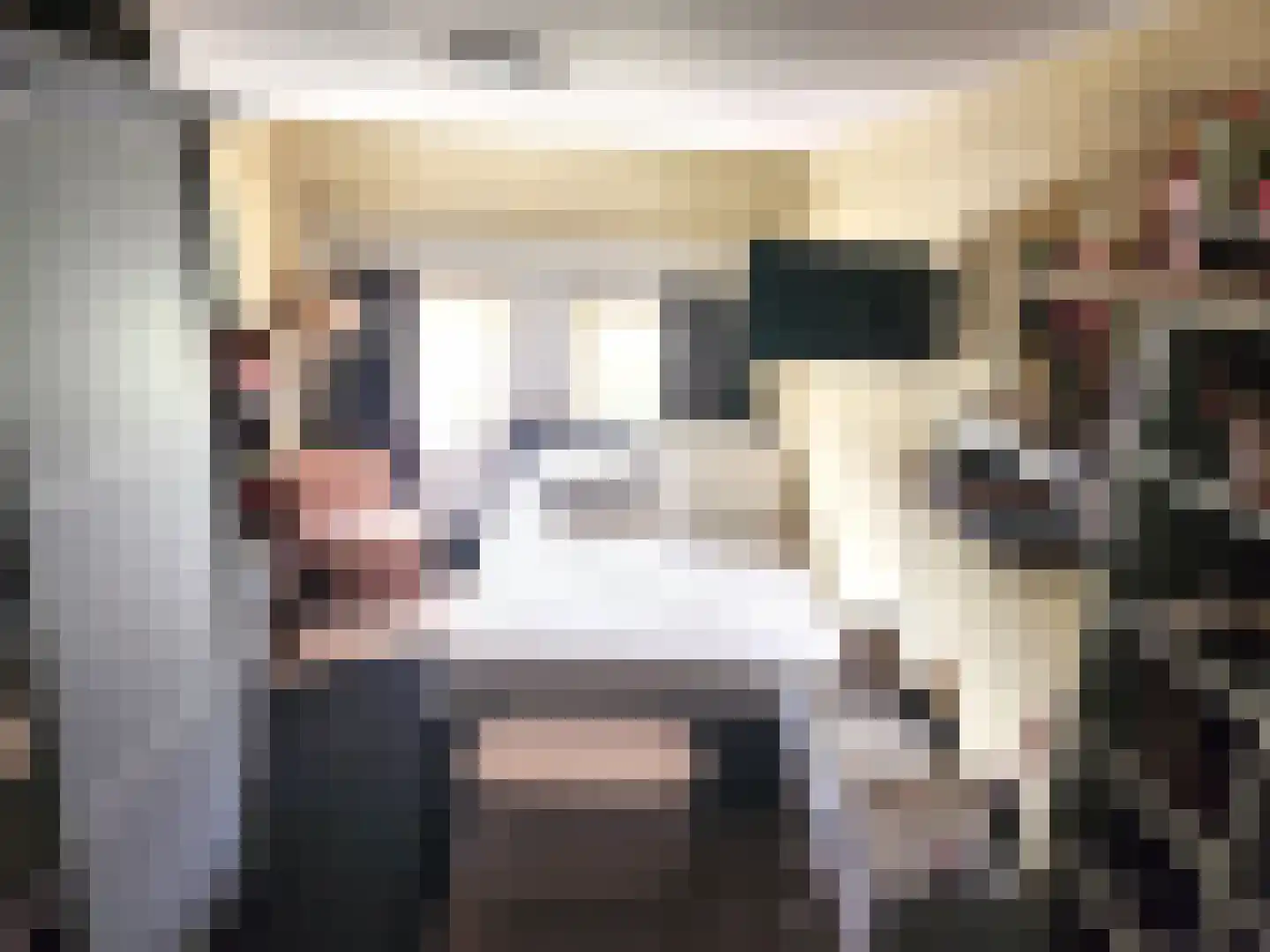 Burg. Lemmensstraat 210 C Geleen thumbnail 12