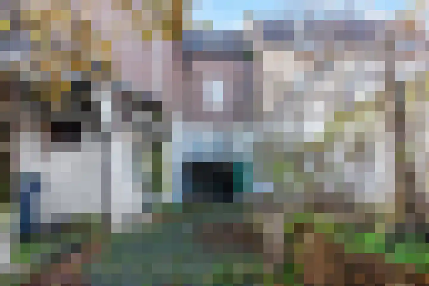 Burg. Lemmensstraat 224 Geleen thumbnail 30