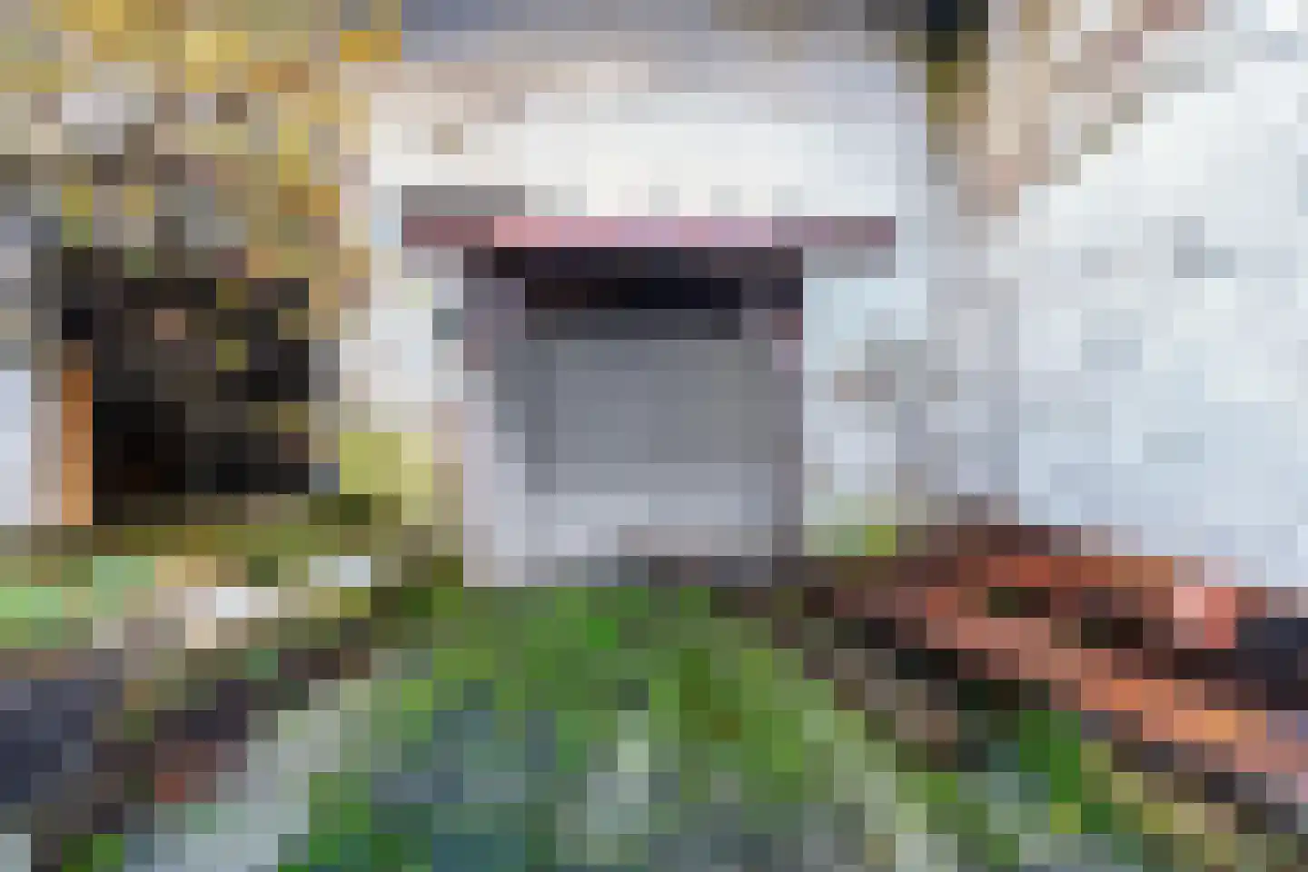 Burg. Lemmensstraat 224 Geleen thumbnail 32