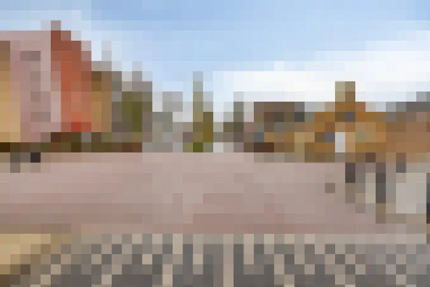 Burg. Lemmensstraat 229 Geleen thumbnail 24