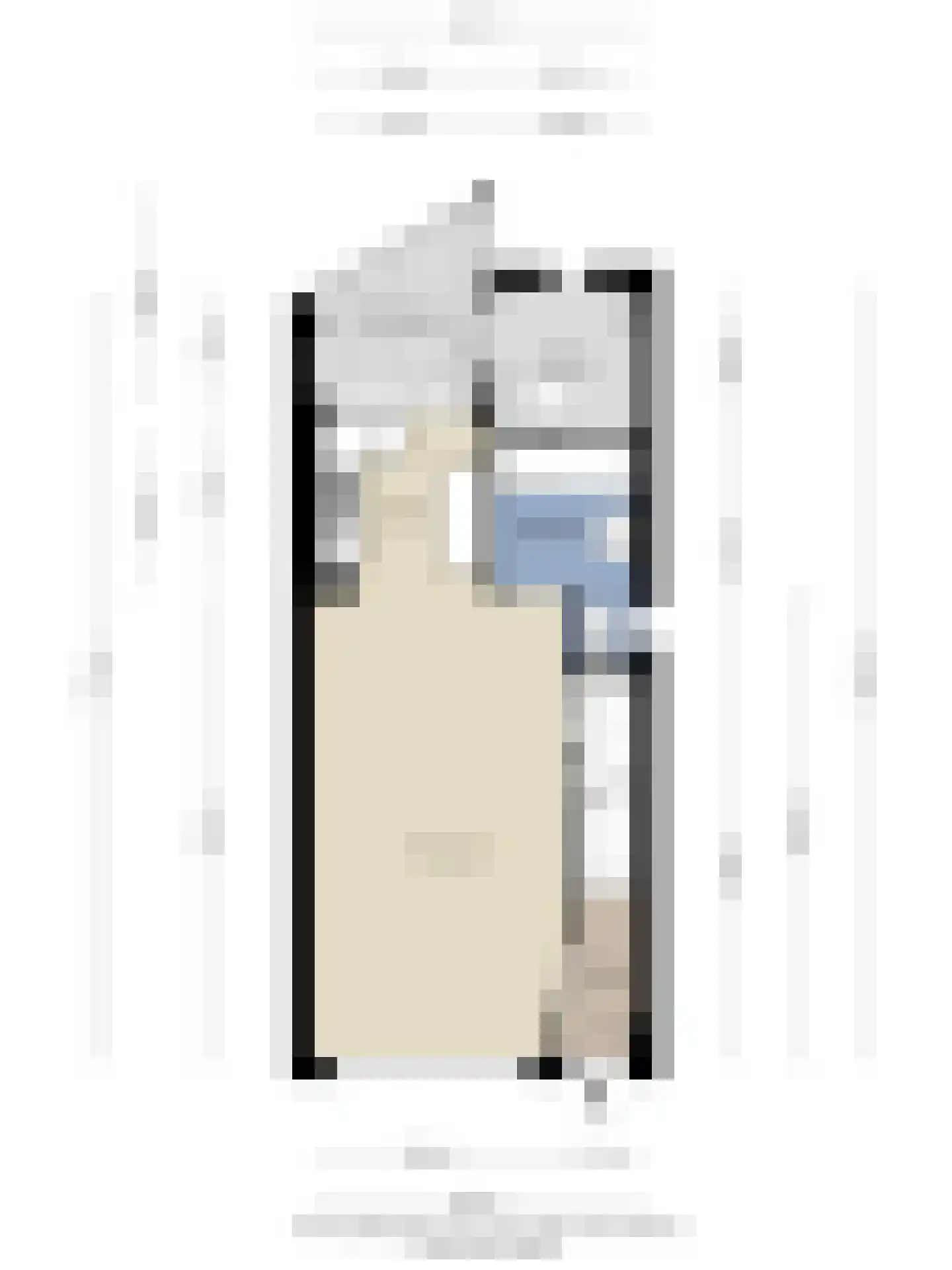 Burg. Lemmensstraat 229 Geleen thumbnail 26