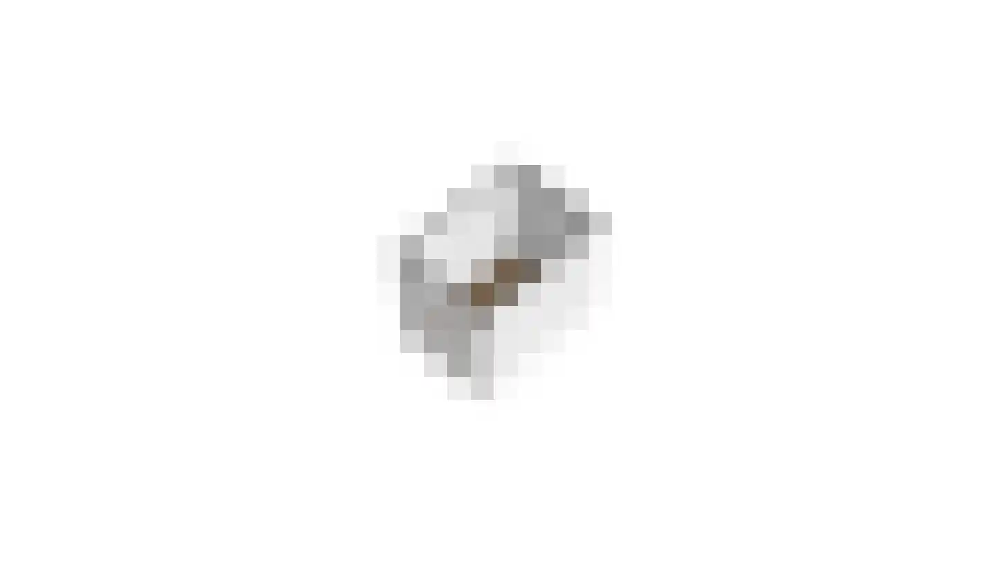 Burg. Lemmensstraat 232 Geleen thumbnail 34