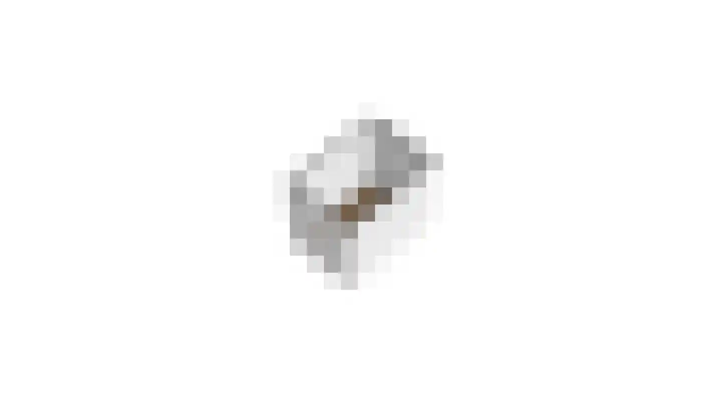 Burg. Lemmensstraat 238 Geleen thumbnail 36