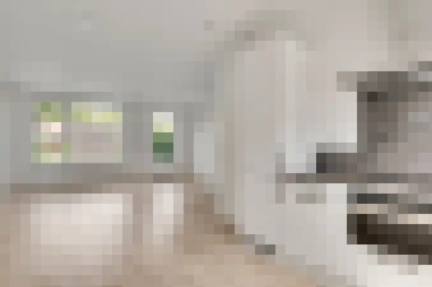 Burg. Lemmensstraat 240 Geleen thumbnail 10