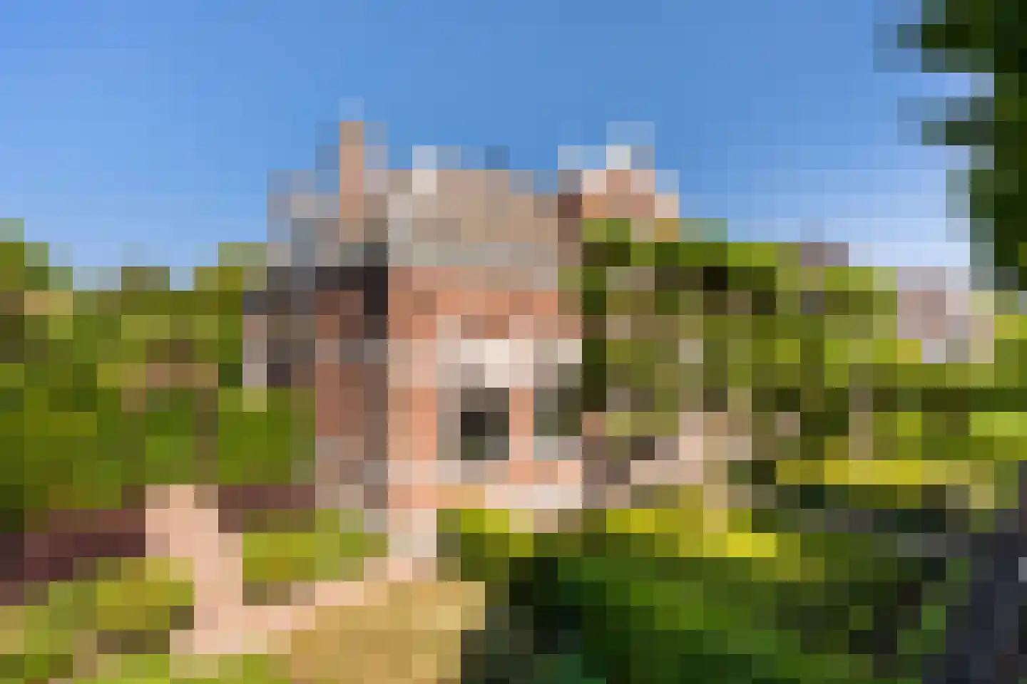 Burg Letteweg 19 Oostvoorne thumbnail 75