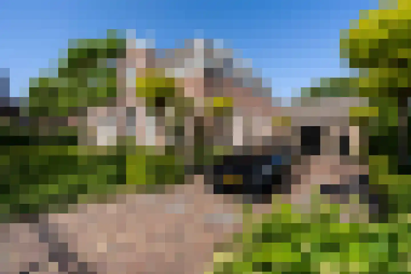 Burg Letteweg 19 Oostvoorne thumbnail 76