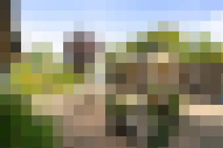 Burg. Lovinkstraat 75 Breezand thumbnail 23