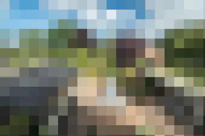 Burg. Lovinkstraat 75 Breezand thumbnail 30