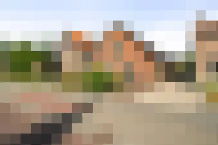 Burg. Lovinkstraat 75 Breezand thumbnail 5