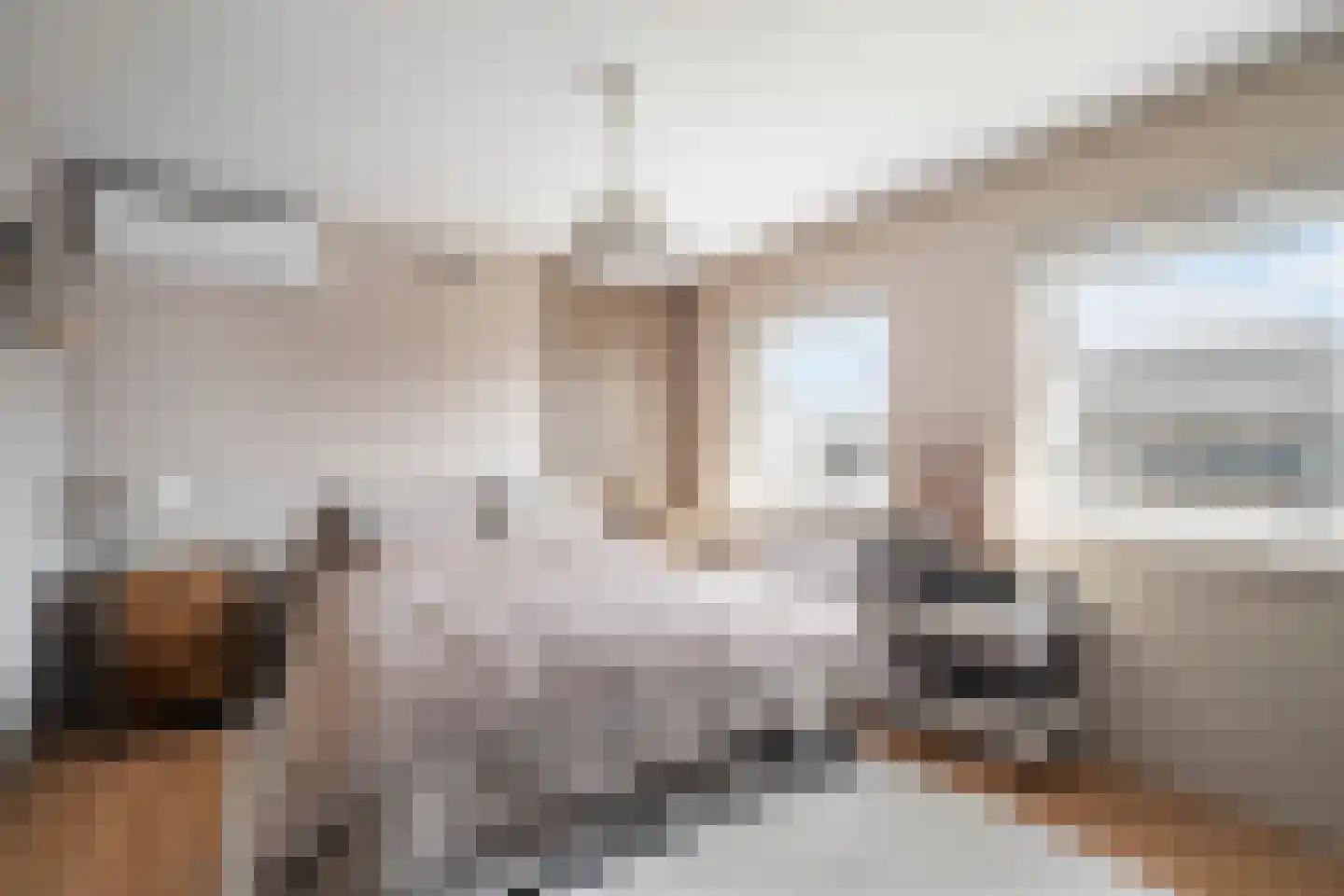 Burg. Lovinkstraat 9 b Breezand thumbnail 36