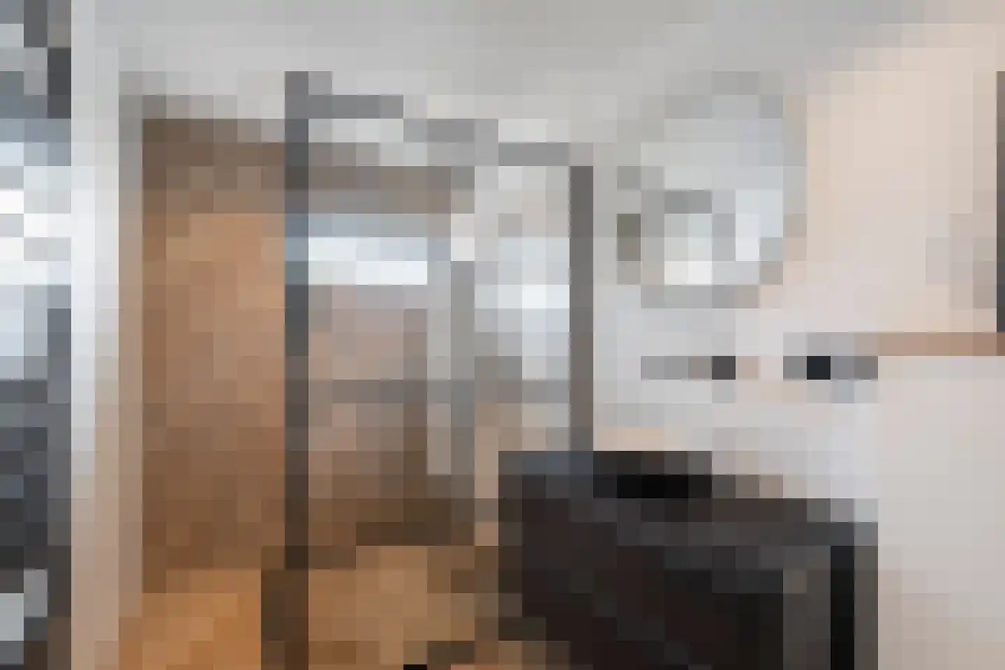 Burg. Lovinkstraat 9 b Breezand thumbnail 39