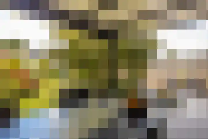 Burg. Lünenschlossstraat 11 Sittard thumbnail 30