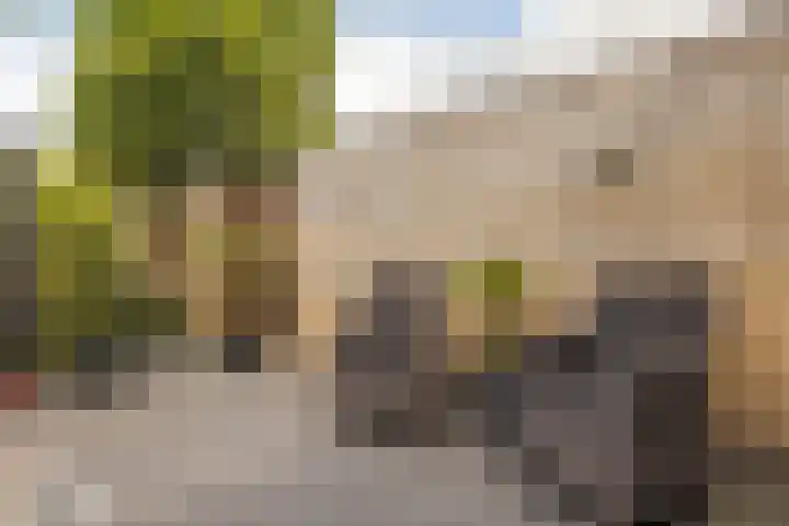 Burg. Lünenschlossstraat 11 Sittard thumbnail 31