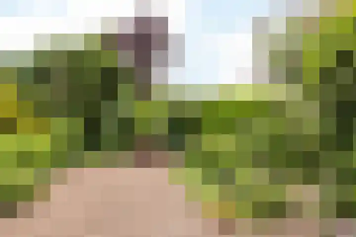 Burg. Luytenstraat 14 Munstergeleen thumbnail 21