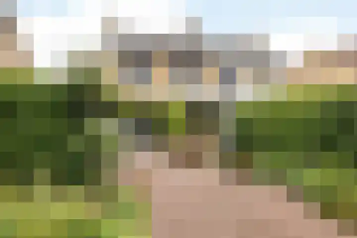 Burg. Luytenstraat 14 Munstergeleen thumbnail 22