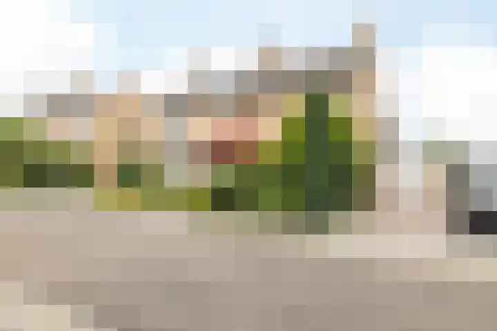 Burg. Luytenstraat 14 Munstergeleen thumbnail 37