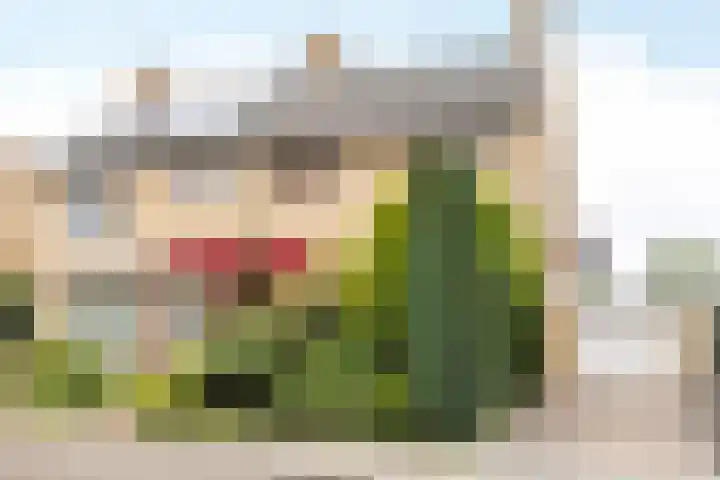 Burg. Luytenstraat 14 Munstergeleen thumbnail 38