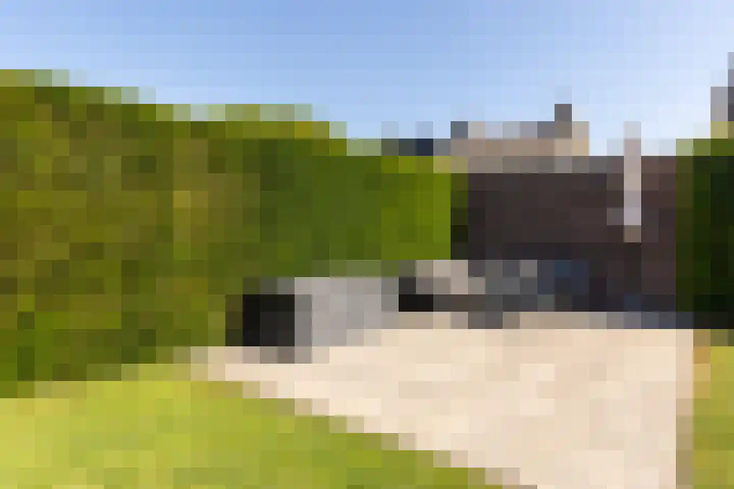 Burg. Luytenstraat 22 Munstergeleen thumbnail 22