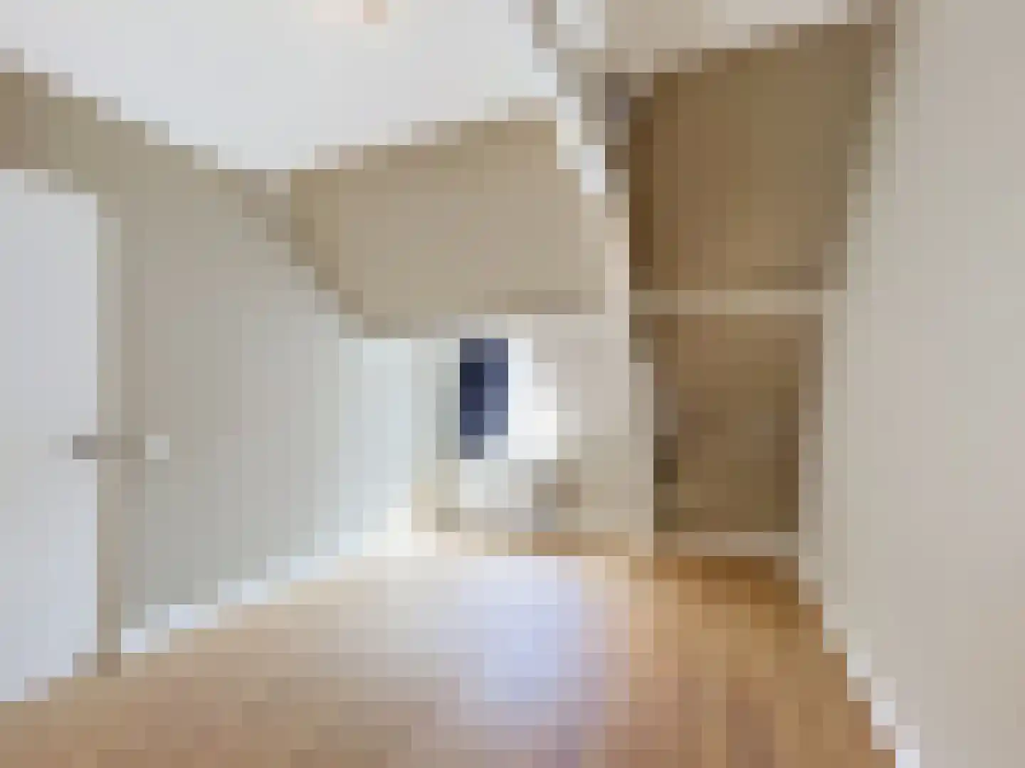 Burg. Maarleveldstraat 14 Biervliet thumbnail 16