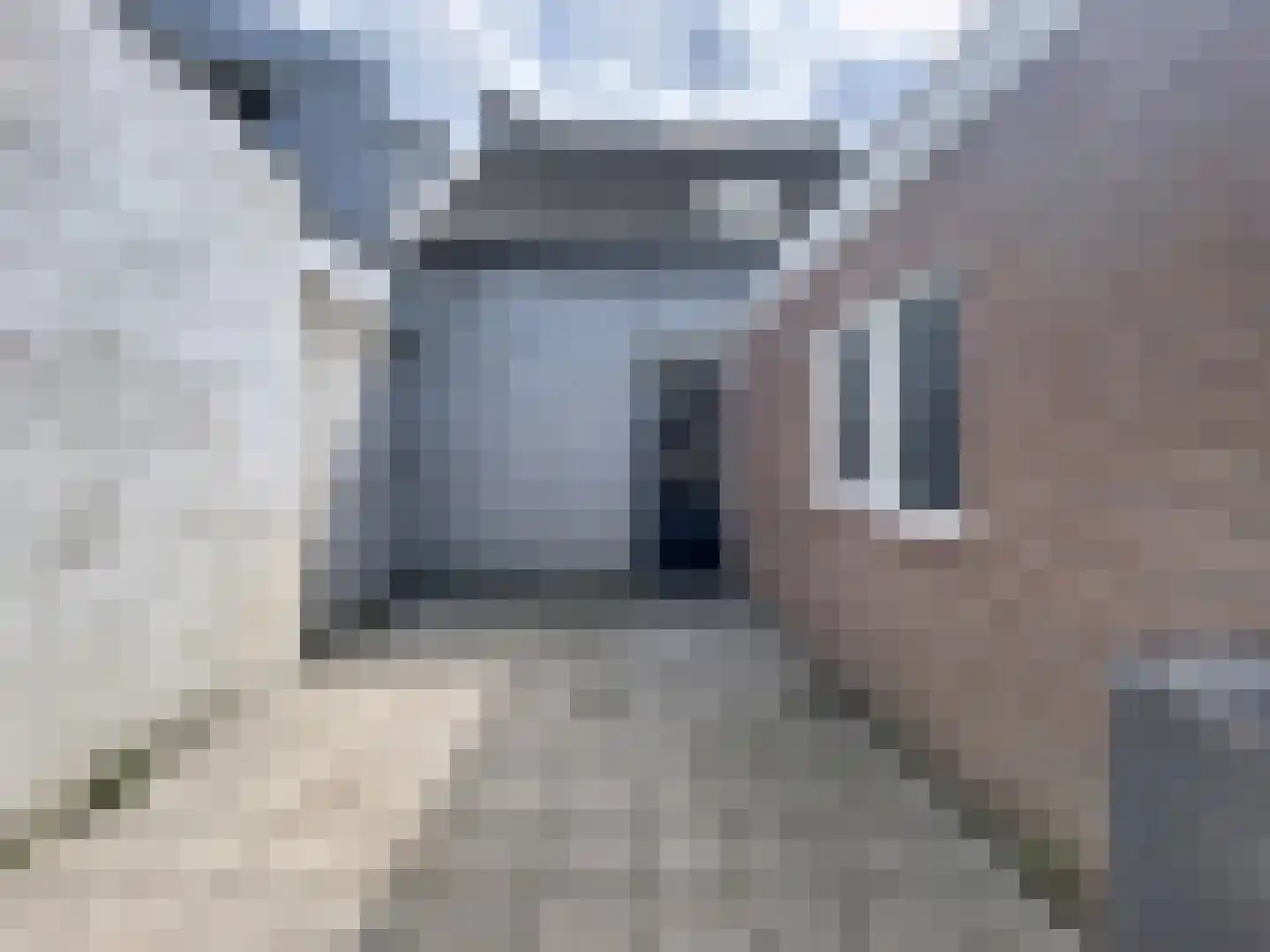 Burg. Maarleveldstraat 14 Biervliet thumbnail 18